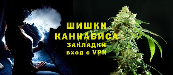 ГАЛЛЮЦИНОГЕННЫЕ ГРИБЫ Новозыбков