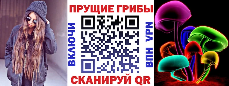 мориарти как зайти  Алатырь  Псилоцибиновые грибы MAGIC MUSHROOMS 