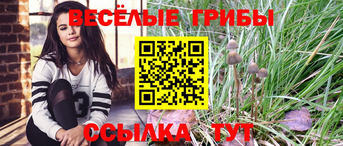Псилоцибиновые грибы Cubensis Алатырь